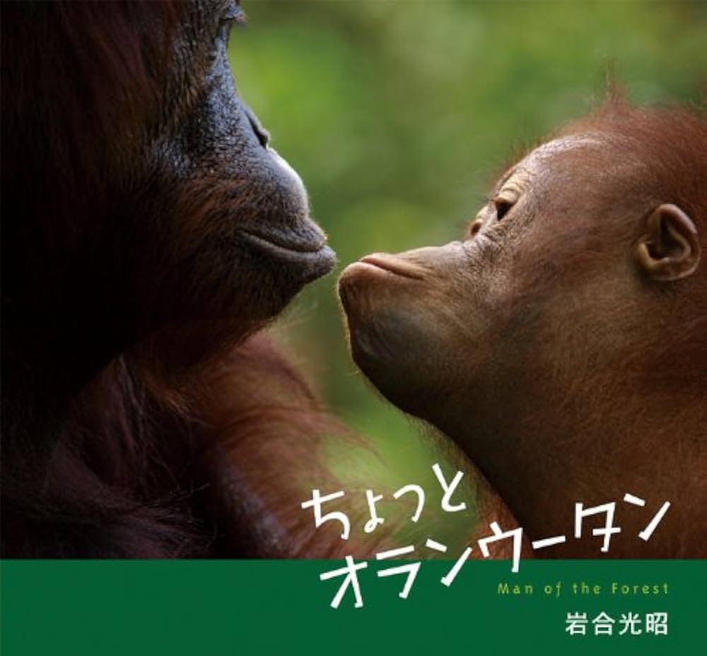 ちょっとオランウータン | 岩合 光昭 |本 | 通販 | Amazon